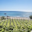 Apollo Beach