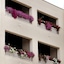 Hotel Bellevue