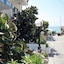 Rosy Suites Hotel