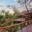 Madikwe River Lodge