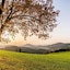 Sauerland Alpin Hotel