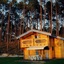 Les Pins D'or