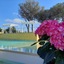 Orto Di Roma