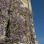 The Castle At Taunton