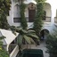 Riad Dar El Assafir