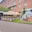 Maxima Zarya Hotel
