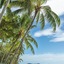Coral Sands Resort