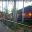 Kewarra Beach Resort & Spa