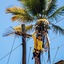 Cana Brava All Inclusive Resort