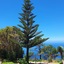 Hotel Jardim Atlantico