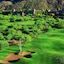 Loews Ventana Canyon Resort