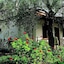 Agios Andreas Villas