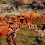 Disney's Animal Kingdom Lodge
