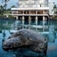 Outrigger Keauhou Beach