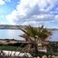 Apartamentos El Bergantin Menorca Club (Adults+16)