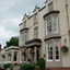 The Ivy
