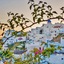 Armeni Village Rooms & Suites