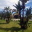 Zaiera Resort Club