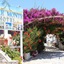 Mare Monte