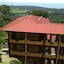 Vista Ballena