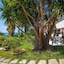 Tonicello Hotel Resort & Spa