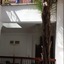 Riad Al Mansoura