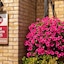 Best Western Plus Bentley Hotel, Leisure Club & Spa