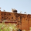 Riad Carina