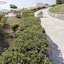 Luzia Agriresort
