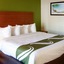 Surestay Hotel By Best Western St. Pete Clearwater Airport