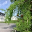 Eight Acres Hotel