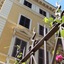 Roma Room Hotel
