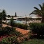 Cretan Garden