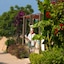 Terrace Beach Resort - All Inclusive