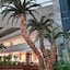 Saphir Resort & Spa