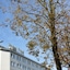 Hotel Friuli