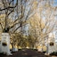 Lanzerac Hotel & Spa