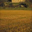 Airth Castle Hotel And Spa Resort