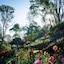 Doi Tung Lodge
