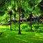 Soma Manaltheeram Ayurveda Beach Village