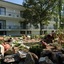 Dryas Hotel