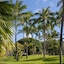 Luana Waikiki Hotel & Suites
