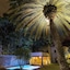 Villa Santa Monica
