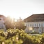 Le Montrachet