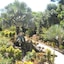 Licuala Lodge