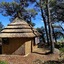 Pine Beach Pakostane