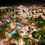 Pueblo Bonito Los Cabos Beach Resort - All Inclusive