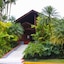 Arenal Paraíso Resort & Thermo Mineral Hot Springs