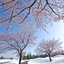 Atema Kogen Resort Belnatio