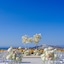 Carpe Diem Santorini